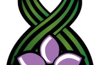 Нерадни дан- Дан државности РС